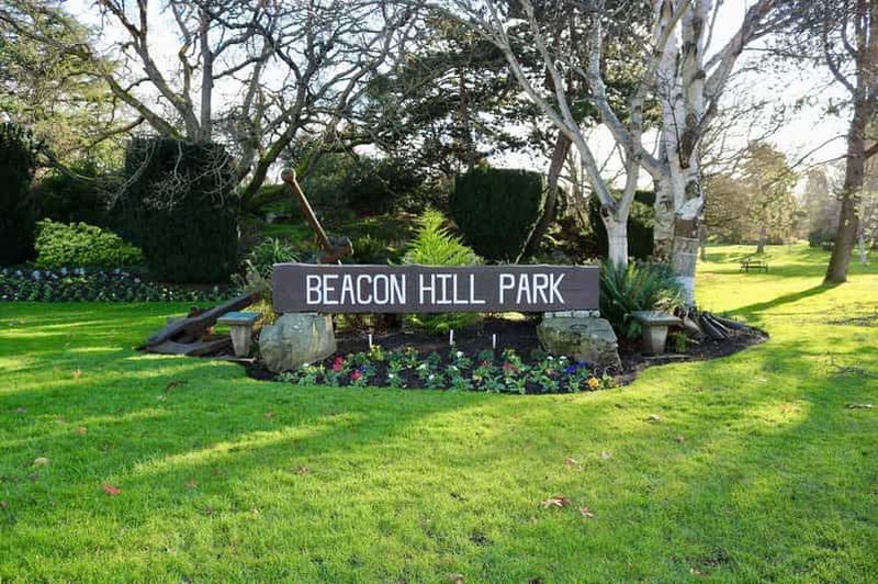 Billet Victoria : Croisière commentée privée avec visite touristique de la ville