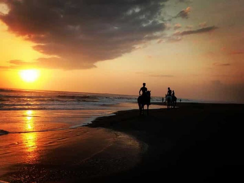 Billet Bali : Randonnée à cheval sur la plage de Pigstone et dans les rizières
