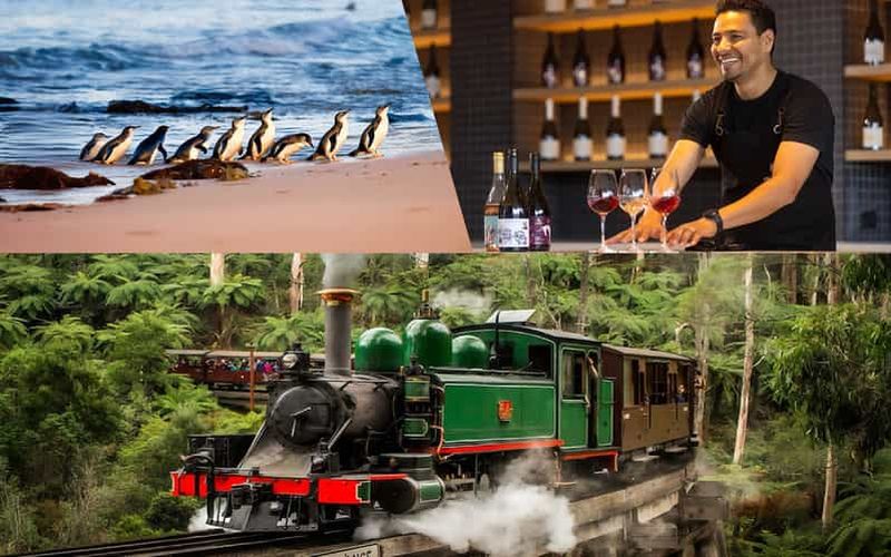 Billet Puffing Billy, défilé des pingouins, cave, chocolaterie