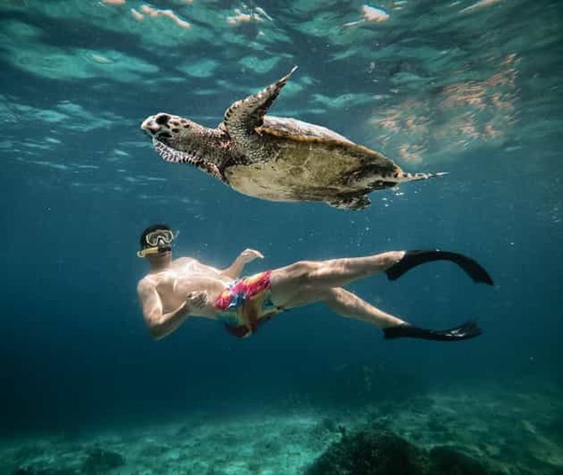 Billet Depuis Gili Air : Plongée en apnée avec les tortues et la statue sous-marine