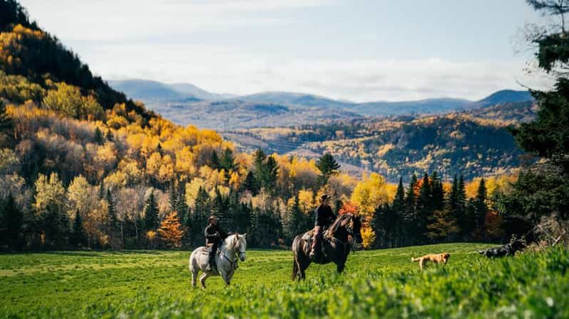 Billet La Montagnarde : Promenade à cheval guidée sur des sentiers de montagne.