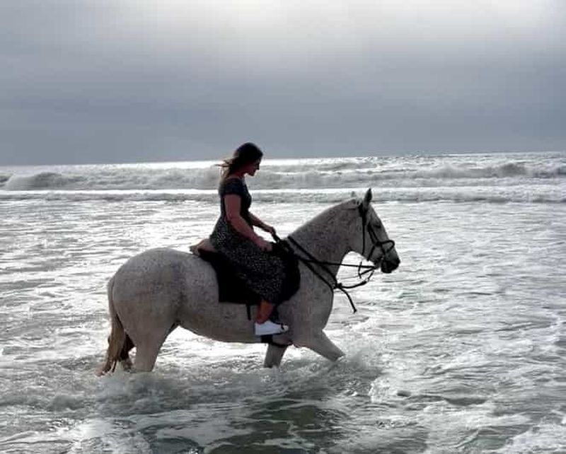 Billet Aourir : promenade à cheval sur la plage avec prise en charge à l'hôtel