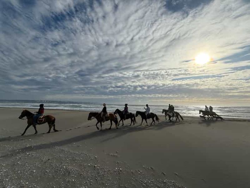 Billet Vignoble, Valparaiso, équitation, bord de mer et barbecue