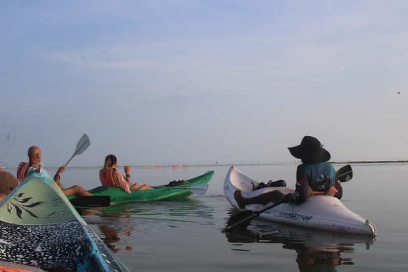 Billet Holbox : excursion guidée en kayak au lever ou au coucher du soleil dans la réserve de mangroves