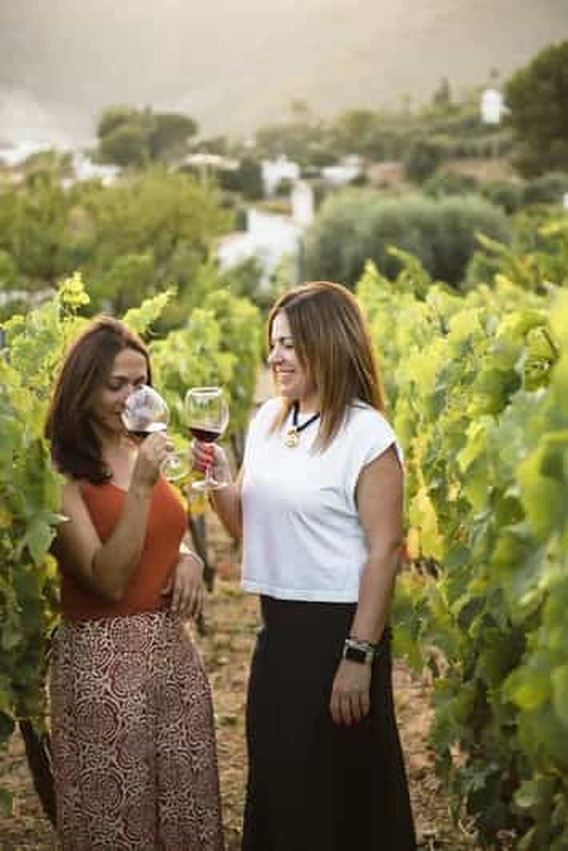 Billet Près de Malaga : vignoble bio de Mijas, 5 vins, 2 huiles et tapas