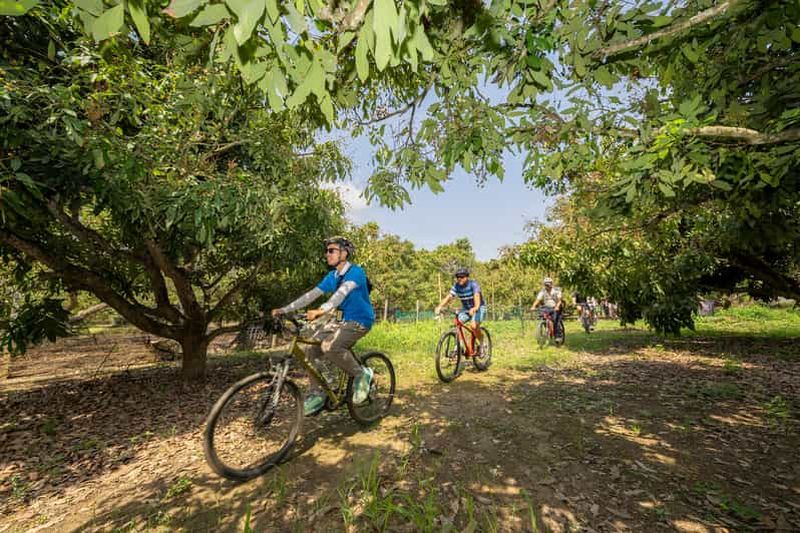 Billet Chiang Mai : excursion historique et culturelle d'une demi-journée à vélo