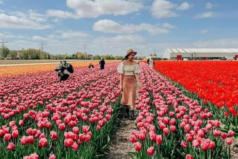 Billet Amsterdam : visite d'une ferme de tulipes, Keukenhof et croisière des moulins à vent