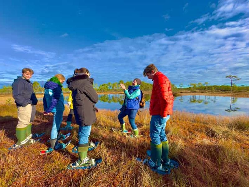 Billet Depuis Tallinn : randonnée guidée en raquettes