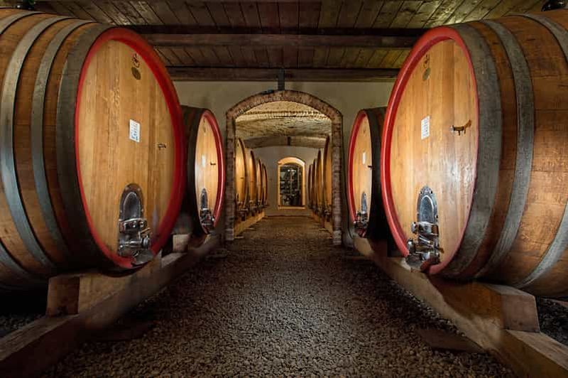 Billet Langhe : Visite de vignobles et dégustation de vins