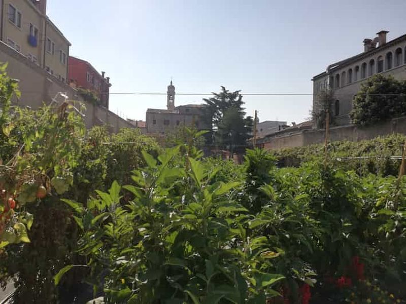 Billet Venise : visite à pied des jardins secrets de la ville