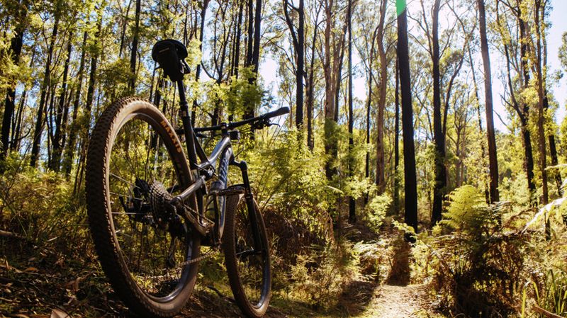 Billet Visite guidée à vélo du parc national de Peneda-Gerês