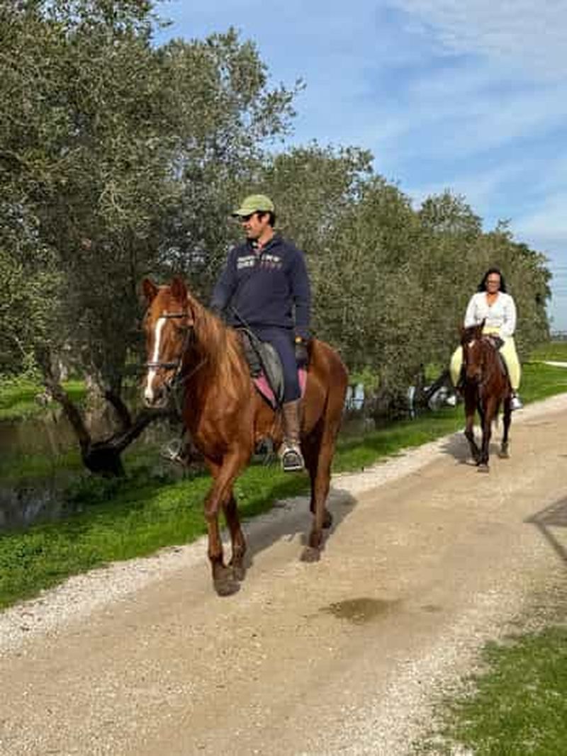 Billet Depuis Lisbonne : incroyable excursion d'une journée complète, avec promenade à cheval sur la plage