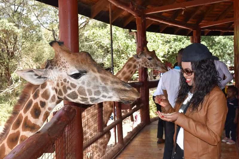 Billet Nairobi : Karen Blixen, Wildlife Trust et visite du Centre des Girafes