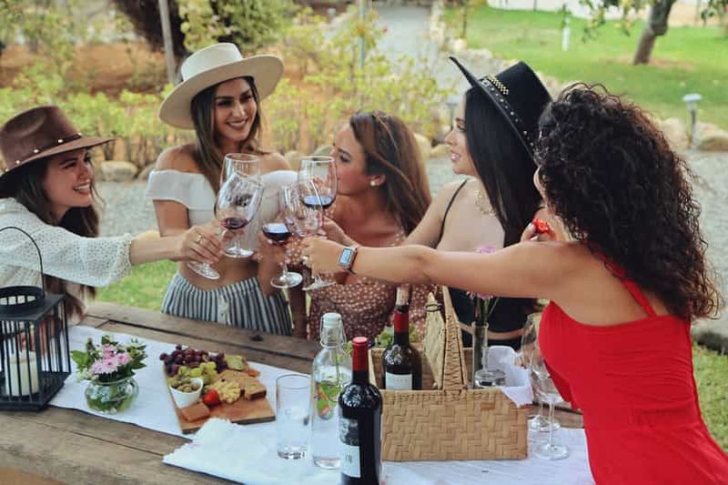 Billet Dégustation de vin dans les jardins de Rondo del Valle avec vignoble