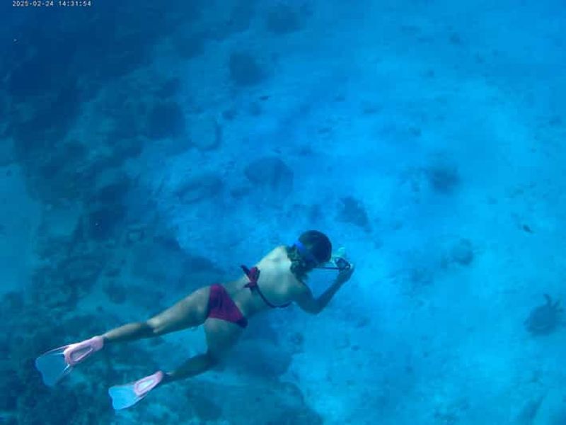 Billet Curieuse et Saint-Pierre : excursion snorkeling d'une demi-journée, sans déjeuner barbecue