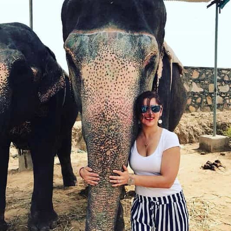 Billet Jaipur : expérience interactive avec les éléphants (nourrissage, peinture et promenade)