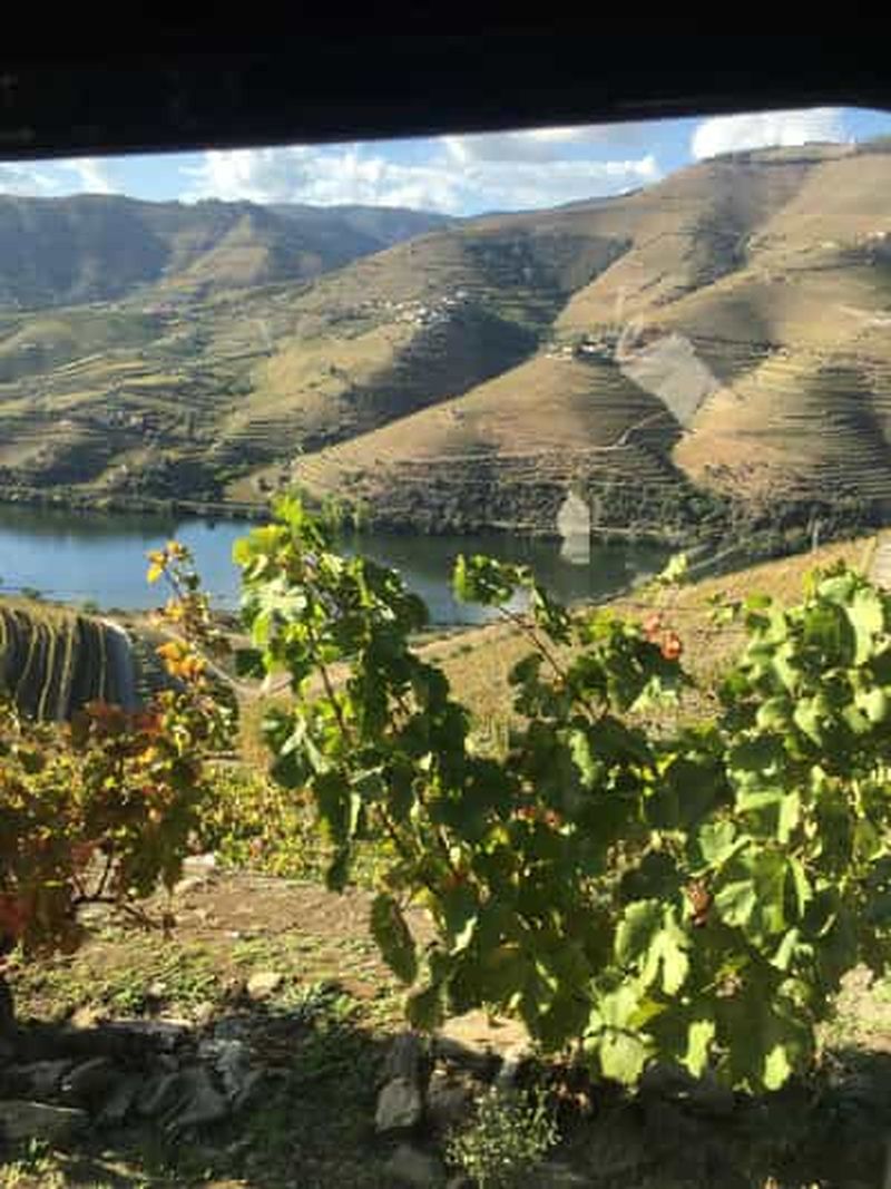 Billet Visite privée de Porto à la vallée du Douro en 4x4 comme un autochtone