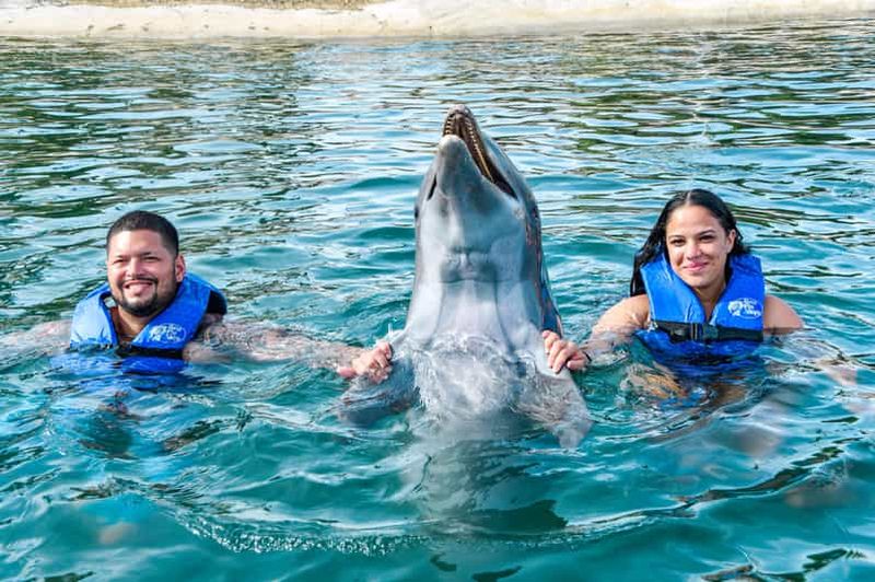 Billet Puerto Plata : Parc d'aventures Ocean World Nager avec les dauphins