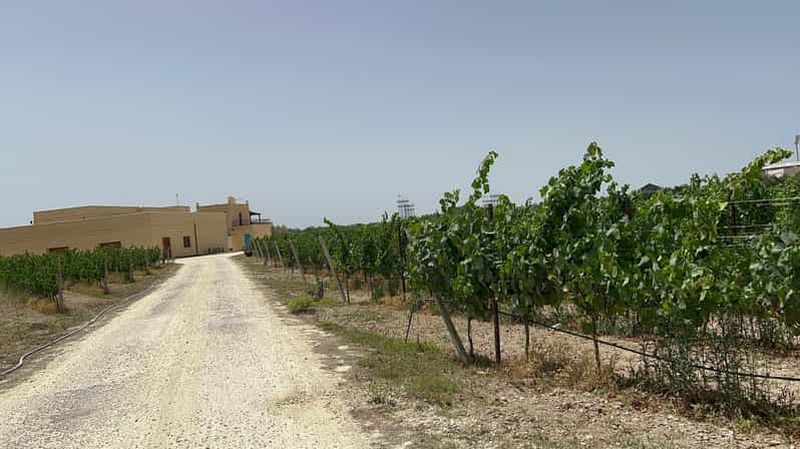 Billet Vin avec des raisins maltais TOUR EN PORTUGAL