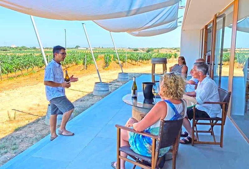 Billet Ciutadella de Menorca : Visite d'un vignoble familial avec dégustation de vin