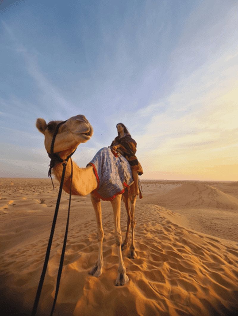 Billet Salalah : Nuit sous tente bédouine dans le désert + safari au coucher du soleil
