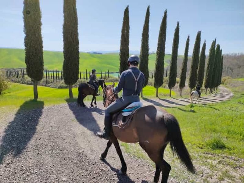 Billet Toscane : expérience d'équitation à Buonconvento