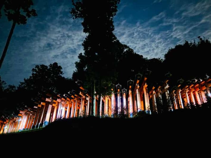 Billet Randonnée nocturne à Fushimi Inari