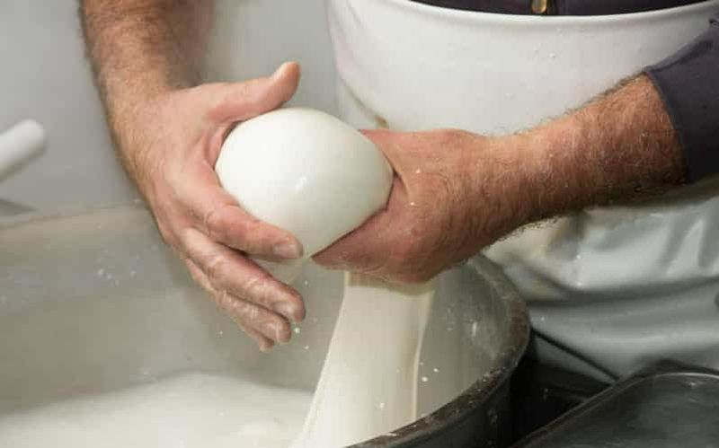 Billet Pouilles : expérience autour de la mozzarella dans une ferme des Pouilles