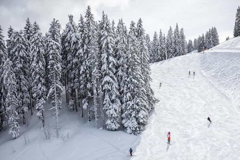 Billet Tbilissi : Borjomi et station de ski de Bakouriani