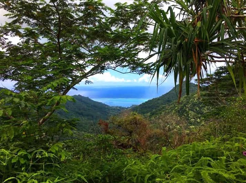 Billet Demi-journée privée à Moorea : randonnée 3 Cocotiers avec déjeuner inclus