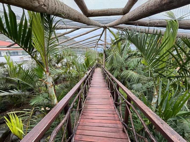 Billet Madère : safari en 4x4 avec un guide de la région