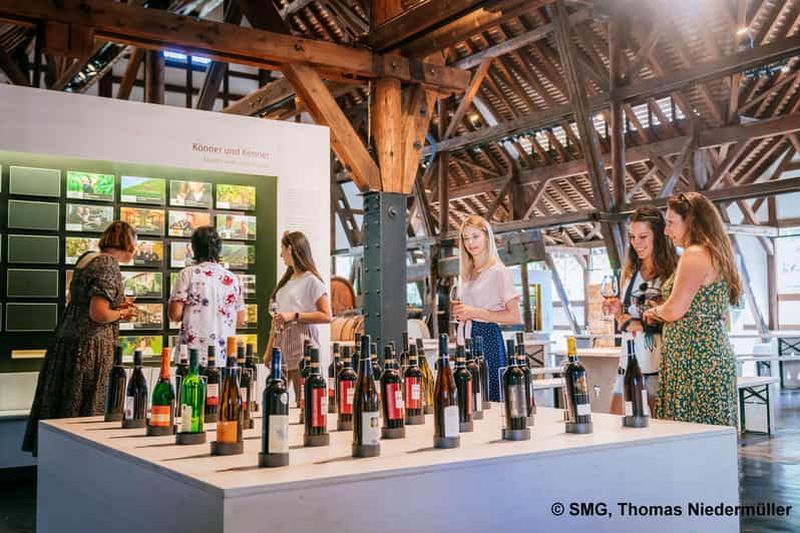 Billet Stuttgart : visite guidée du musée de la vigne et du vin, 0,1 l de vin inclus