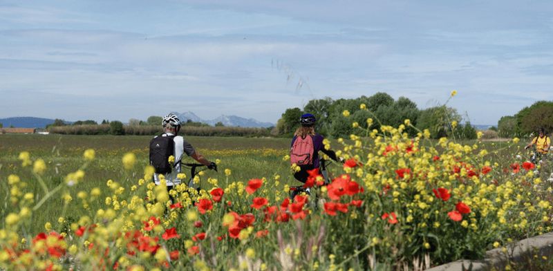 Billet Aix-en-Provence: Tour Nature en Vélo Électrique