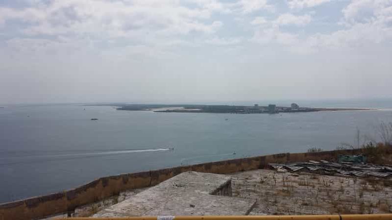 Billet VISITE D'UNE JOUNÉE POUR LES AMOUREUX DES DAUPHINS