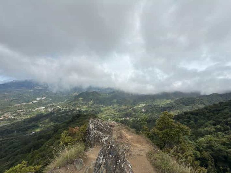 Billet Boquete : randonnée guidée et visite d'une plantation de café avec dégustation