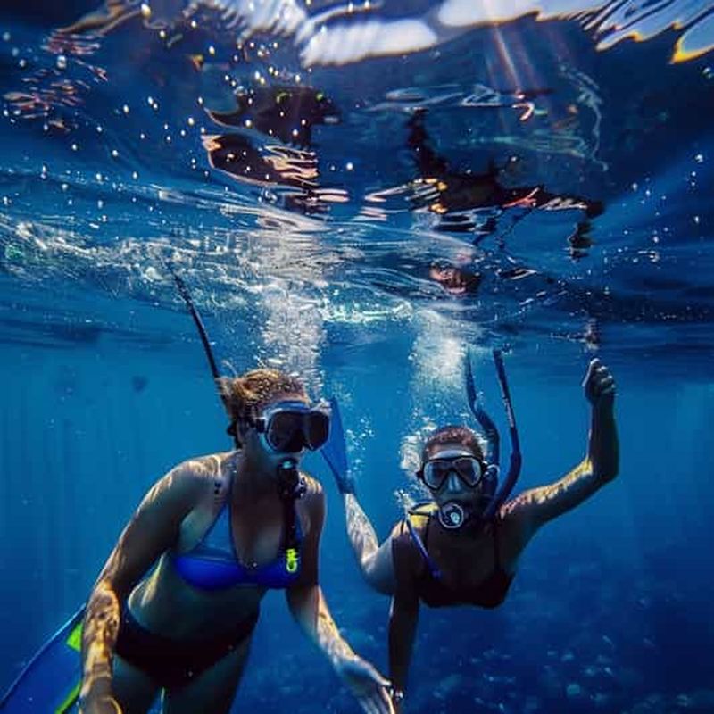 Billet Pelican Rock : Expérience sous-marine SNUBA avec un guide