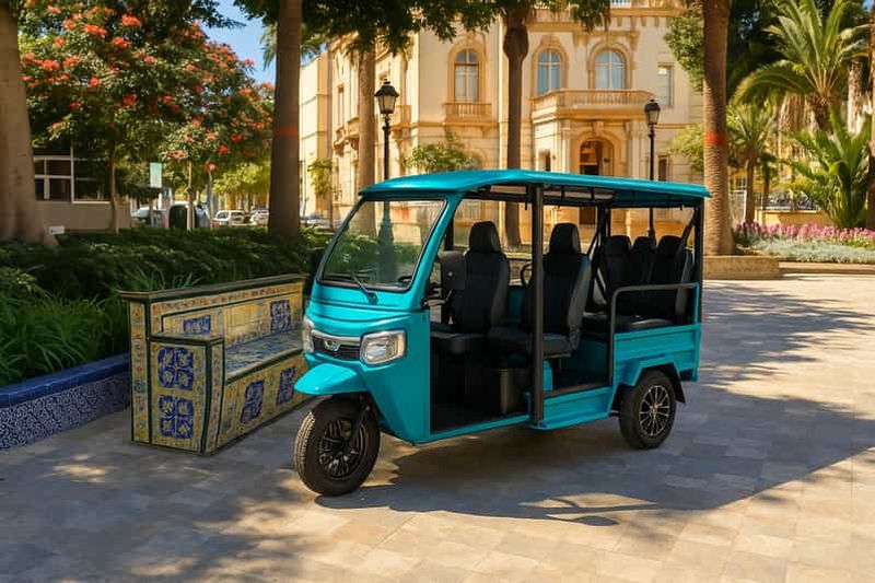 Billet Santa Cruz de Tenerife : visite express en tuk-tuk de la capitale