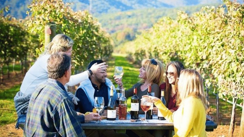 Billet Santiago : Dégustation de vin dans la vallée de Maipo avec 4 vignobles