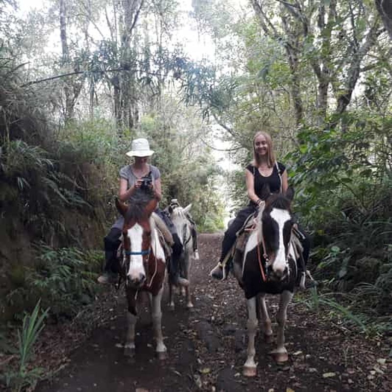Billet Baños : 2 heures de randonnée à cheval avec vue sur le Tungurahua