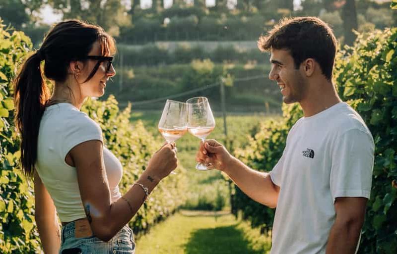 Billet Lac de Garde : Dégustations de vins et de mets dans les vignobles