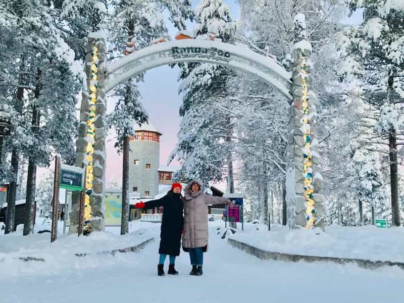 Billet Rovaniemi : excursion au zoo de Ranua avec billets