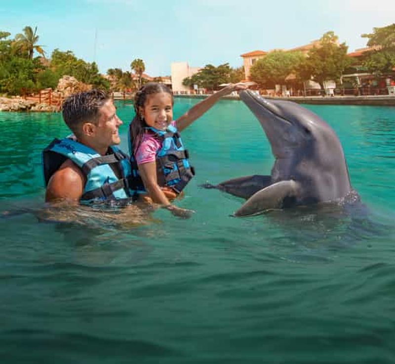 Billet Puerto Aventuras : baignade avec les dauphins, lions de mer, lamantins et déjeuner