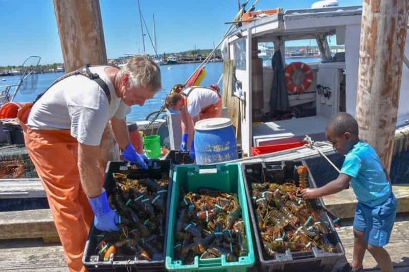 Billet Boston : Excursion d'une journée à Kennebunkport avec excursion facultative à la pêche au homard