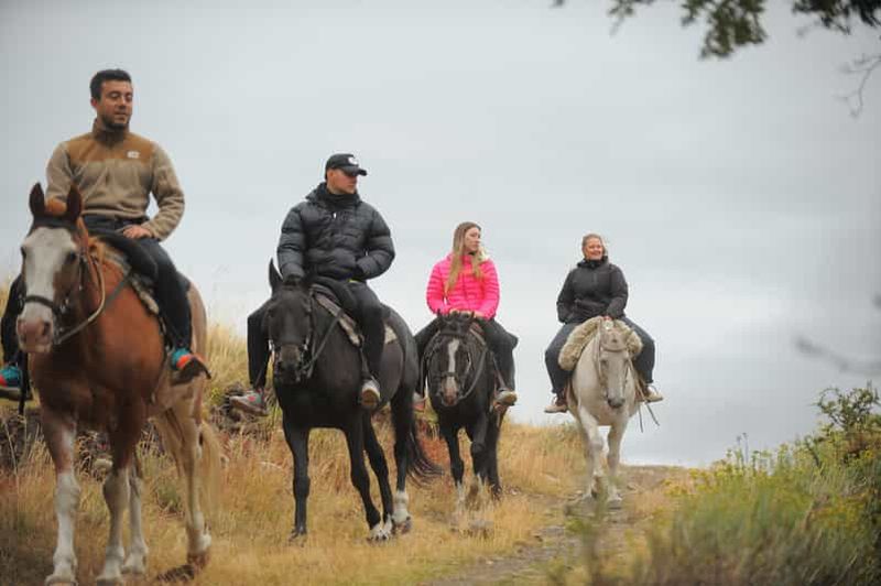 Billet El Calafate : Randonnée à cheval dans le Cerro Frias
