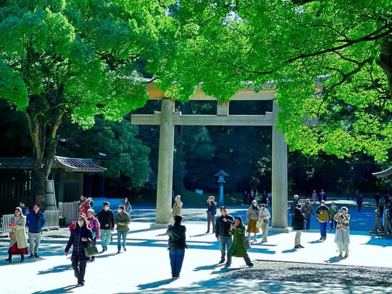 Billet Tokyo : visite à pied du sanctuaire Meiji Jingu et de la culture shintoïste