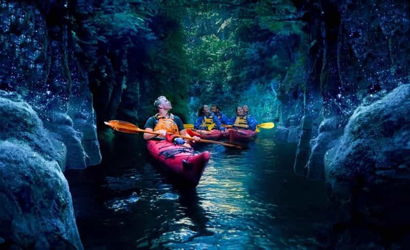 Billet Tauranga : excursion en soirée en kayak vers luisants