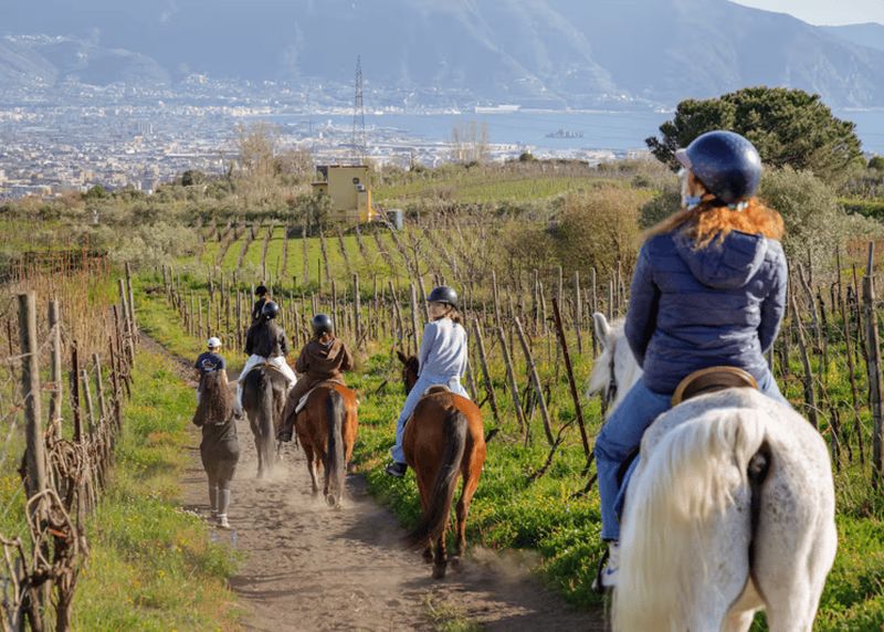 Billet Pompéi : balade à cheval sur le Vésuve avec dégustation de vins et dîner