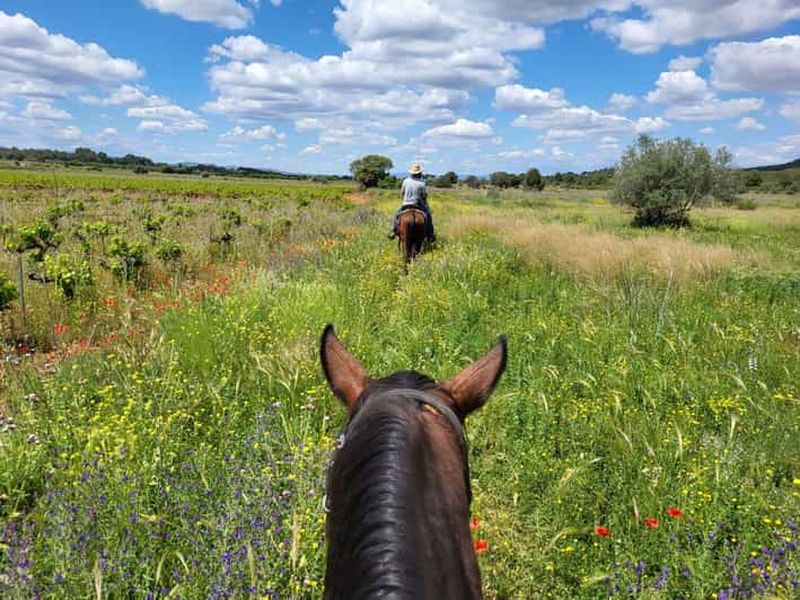 Billet Découvrez l'intérieur des terres de Valence à cheval.