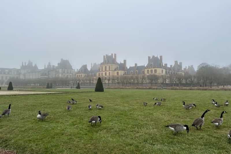 Billet Visite d'une journée au château de Fontainebleau et au village de Barbizon