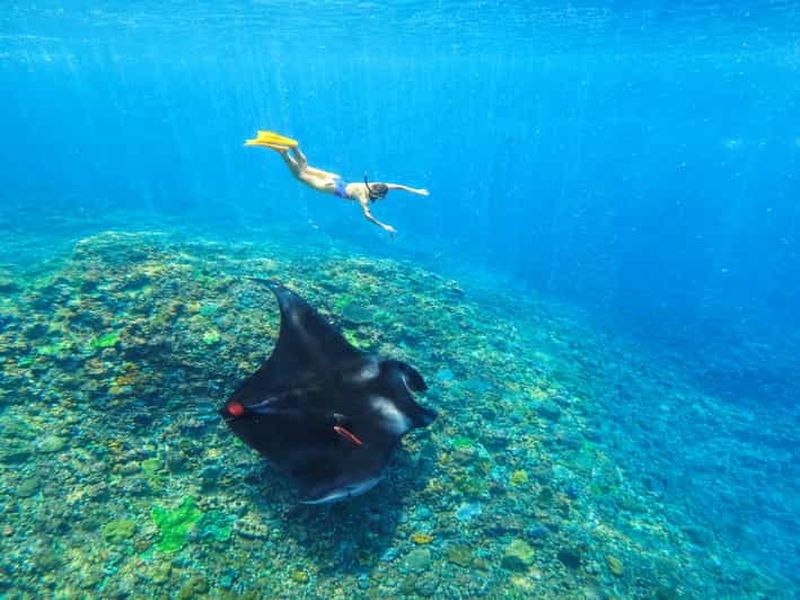 Billet Nusa Penida : Plongée avec tuba à 3 sites avec GoPro et excursion à l'ouest